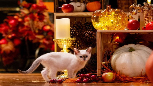 A Happy & Friends Yule Log