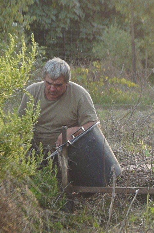Les haricots ne poussent pas en ligne droite