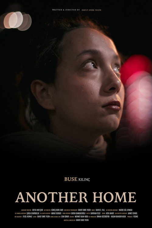 Affiche de Başka Bir Ev