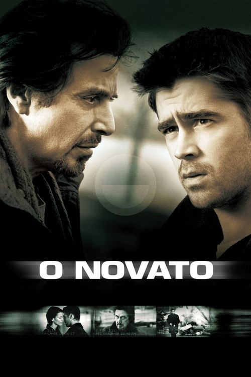 Pôster de O Novato