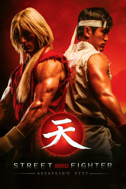 Street Fighter Assassin's Fist poster