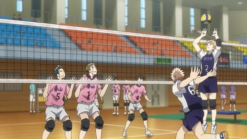 Poster della serie 2.43: Seiin High School Boys Volleyball Team