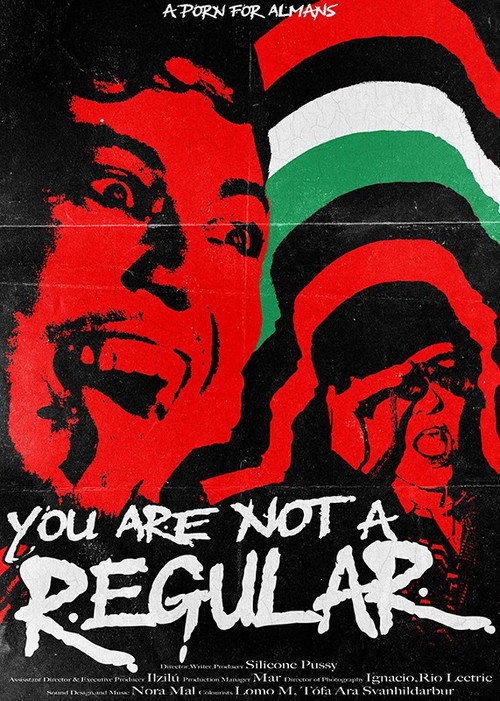 You're Not a Regular: A Porn Made for Almans poster