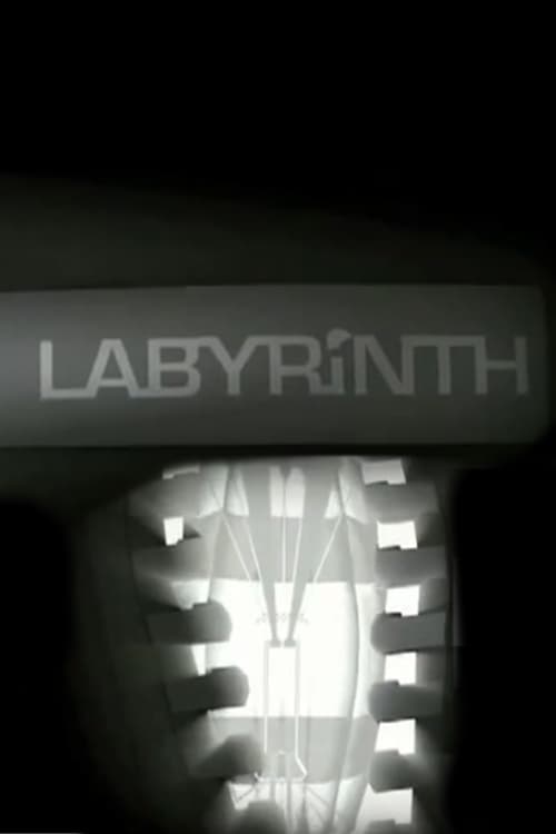 Labyrinth 2007