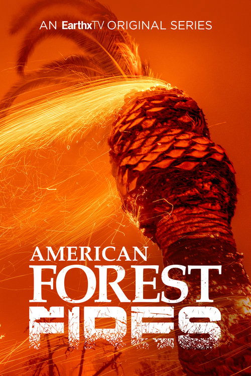 American Forest Fires: The Untold Story poster