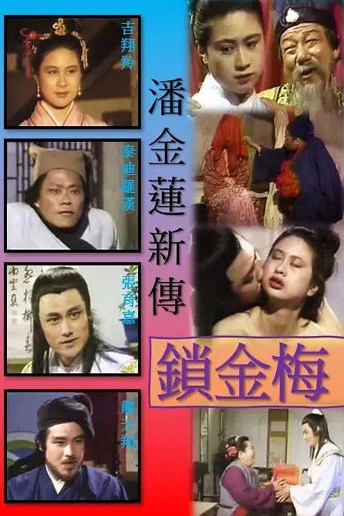 锁金梅 (1993) poster