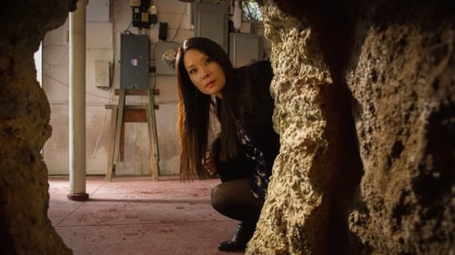 Elementary: 3×20