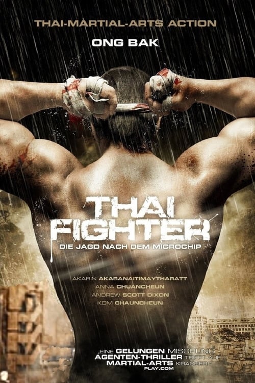 Thai Fighter 2011