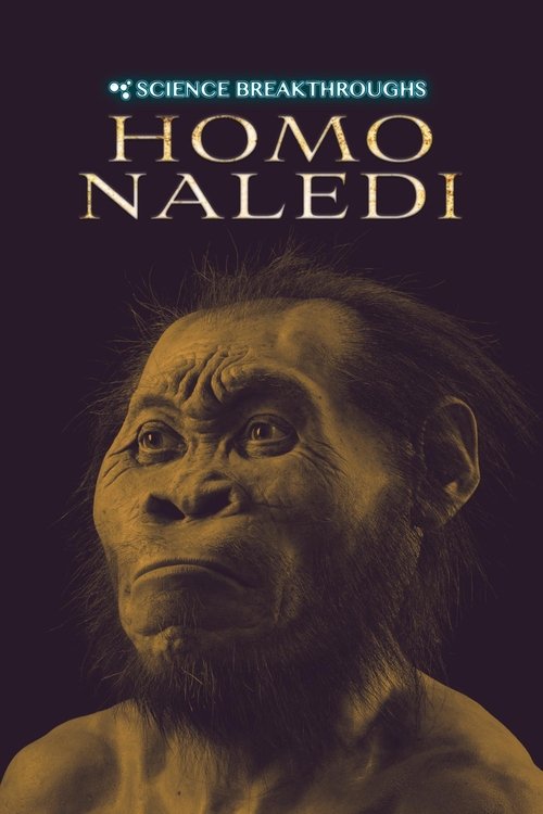 Homo naledi movie poster player