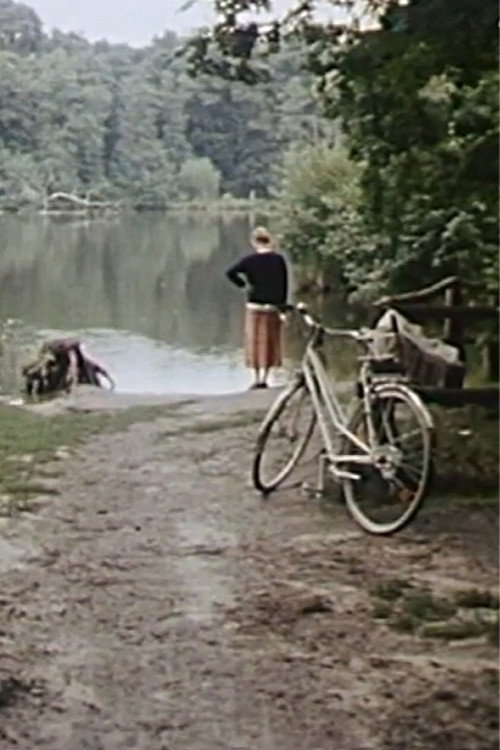 Cycling the Frame poster