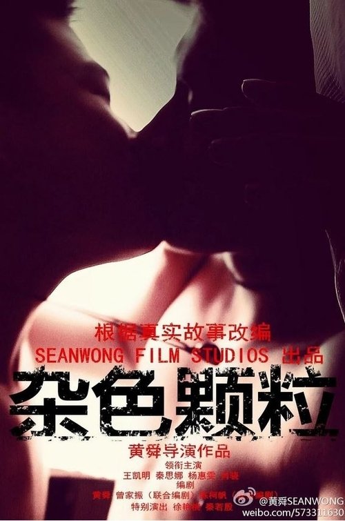 Poster for The Best Choice (2014)