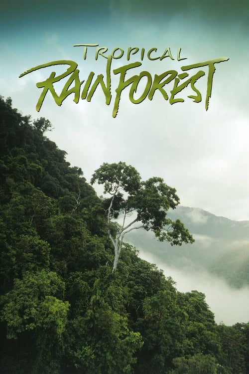 Tropical Rainforest (1992) poster