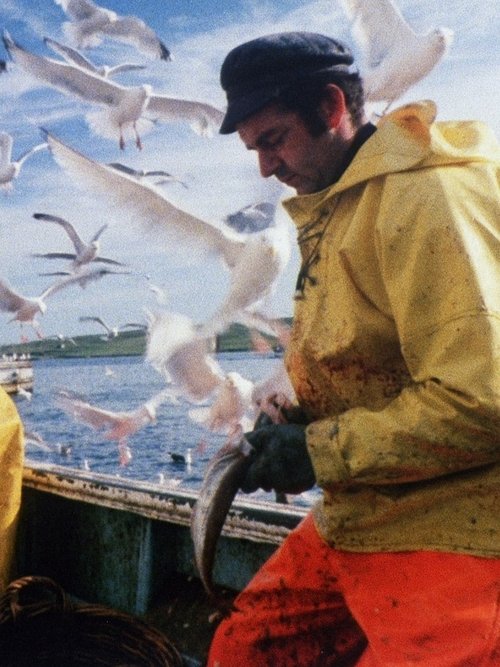 The Shetland Experience movie poster player