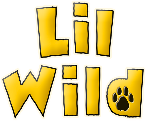 /mqfW5ZGTjFOwWvfeXqv4y7jeR8a.png