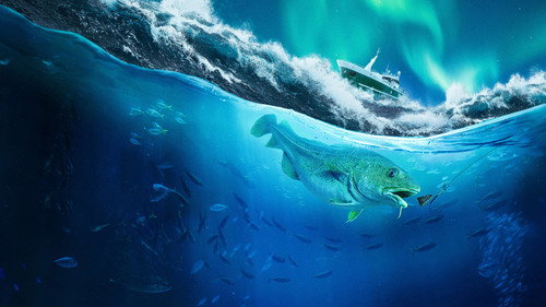 Ice Cold Catch - Season 1 Backdrop Blur