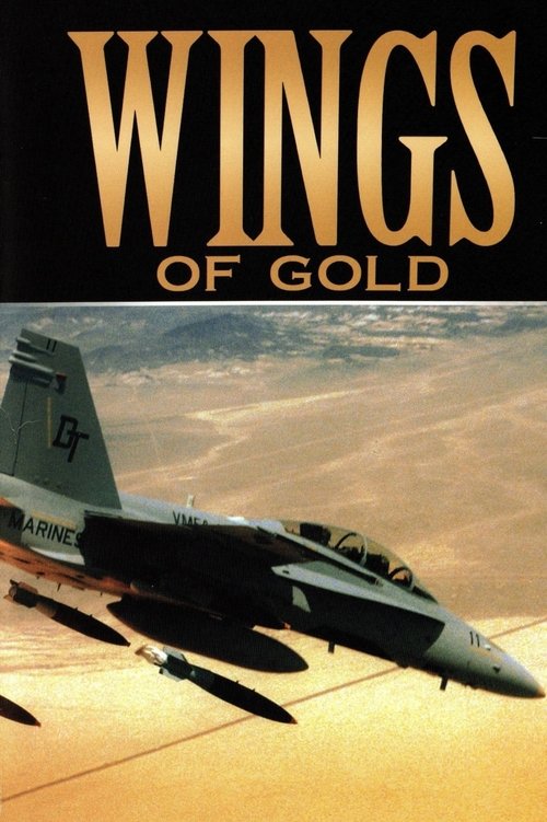 Wings of Gold (2005) poster