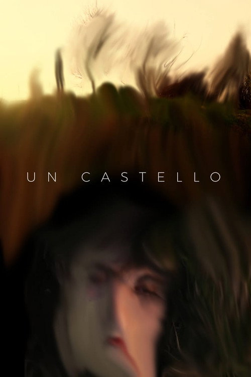 Un castello poster