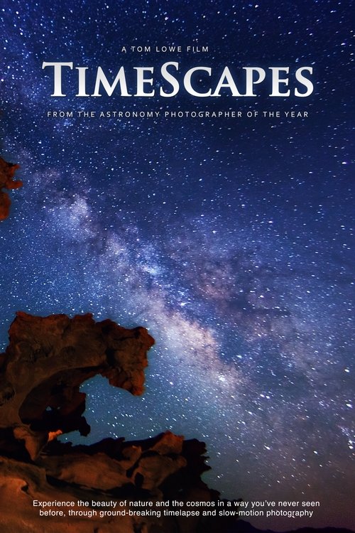 TimeScapes poster