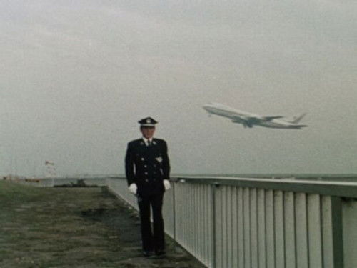 Fly into the Sky of Hope