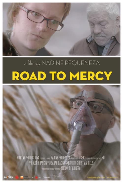 Road to Mercy poster