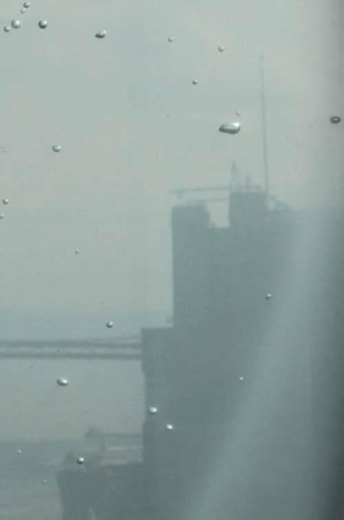 My Favorite Plankton