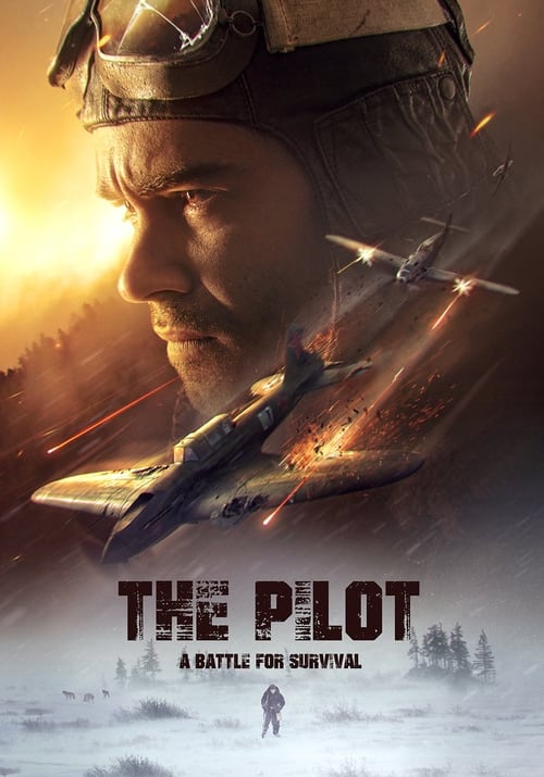 Image فيلم The Pilot. A Battle for Survival 2022 مترجم اون لاين
