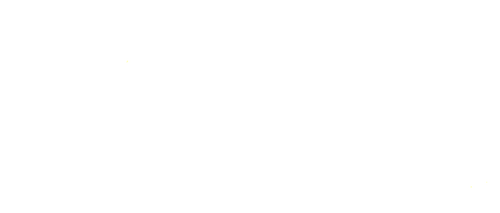 The Big House