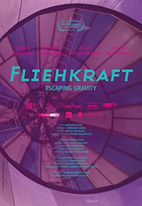 Fliehkraft 2013