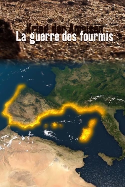 La guerre des fourmis 2012