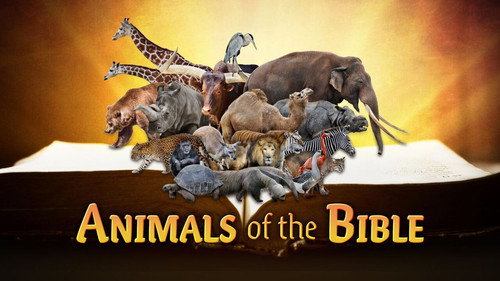 Animals of the Bible Backdrop Blur