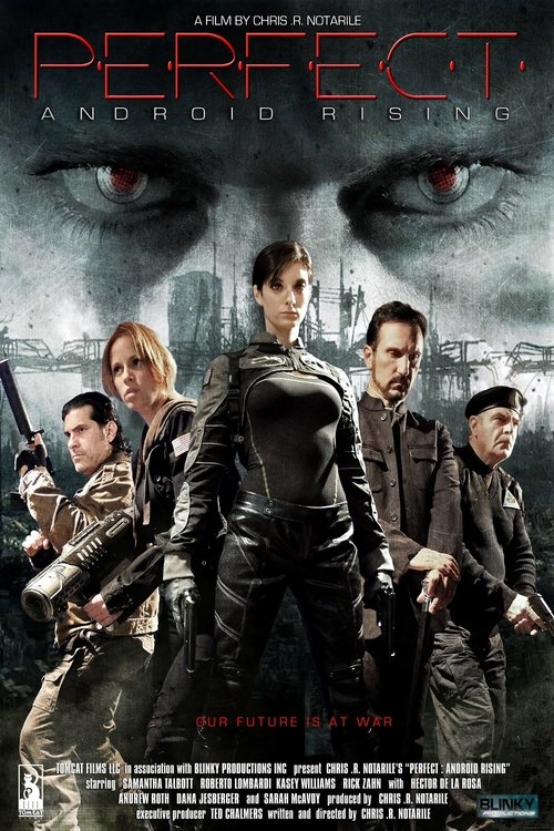 Perfect: Android Rising movie poster player