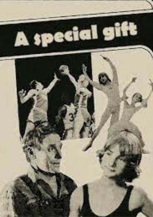 Poster for A Special Gift