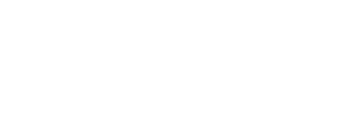 Mysteries of the Missing