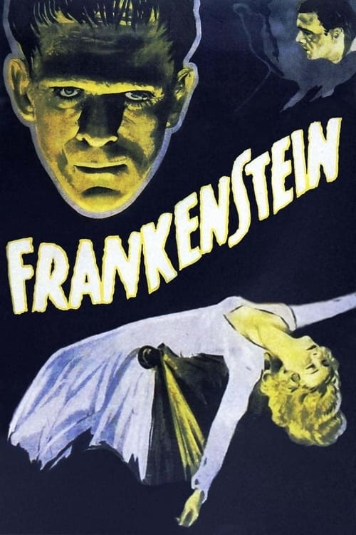 Frankenstein Movie Poster Image