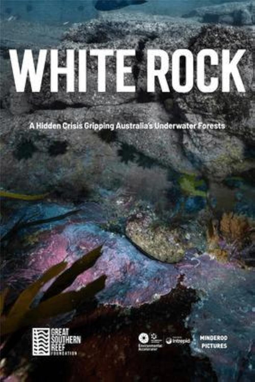 White Rock film afişi