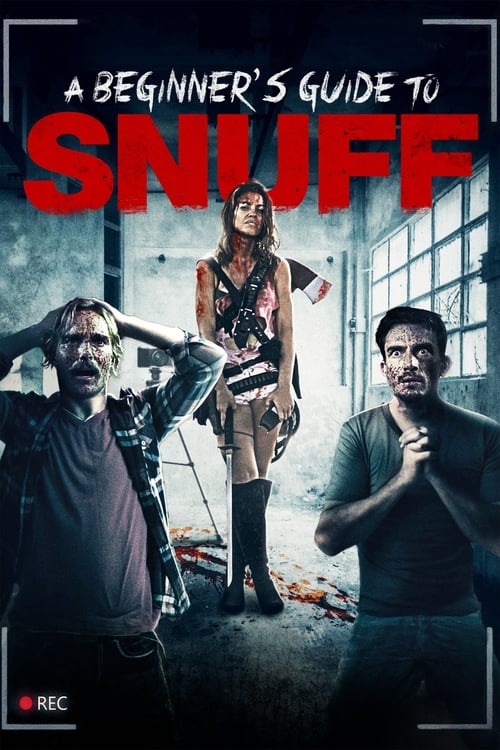 Schauen A Beginner's Guide to Snuff On-line Streaming