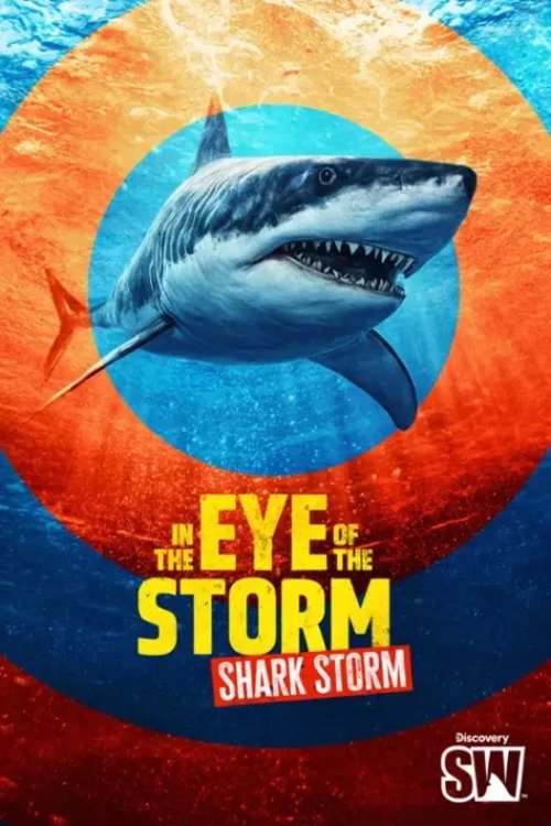 In the Eye of the Storm: Shark Storm poster