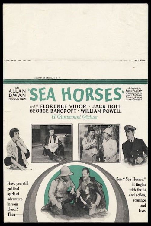 Sea Horses poster