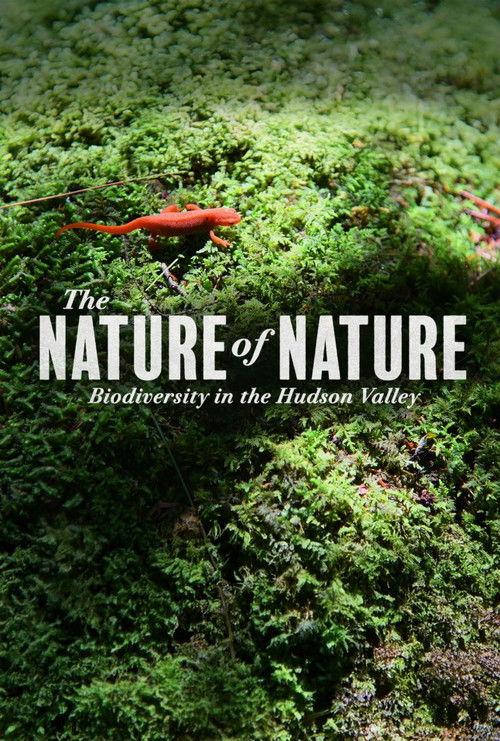 The Nature of Nature: Biodiversity in the Hudson Valley