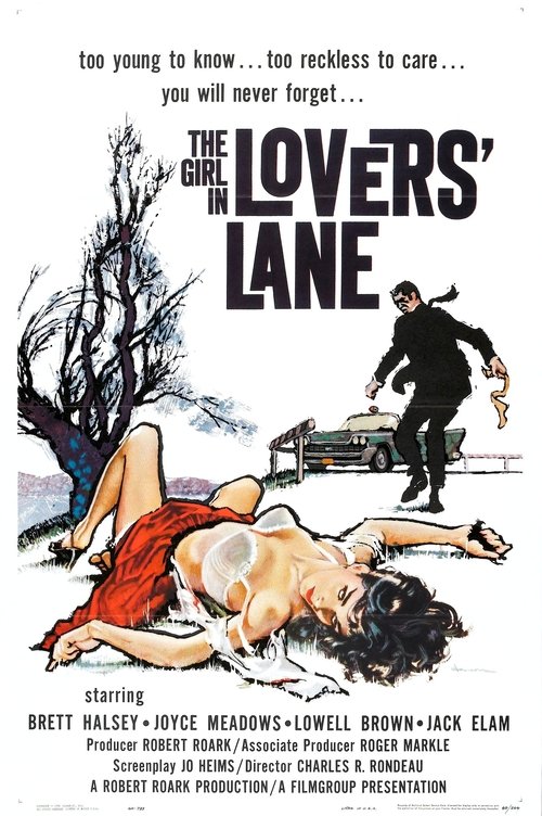 The Girl in Lovers Lane poster