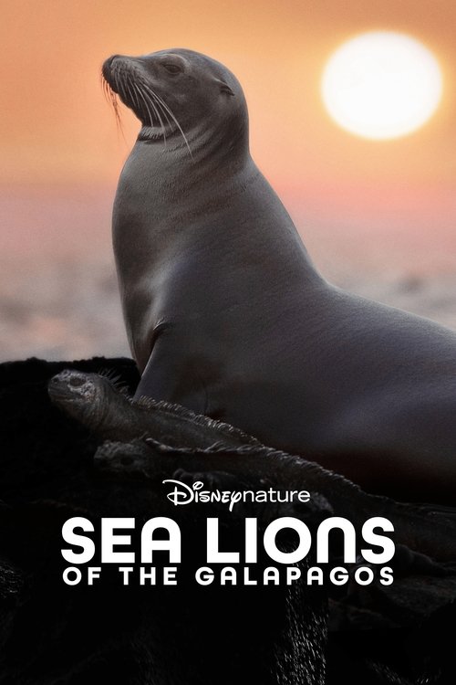 Where to stream Sea Lions of the Galapagos