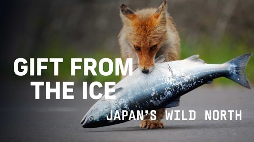 Gift from the Ice - Japan's Wild North image 2