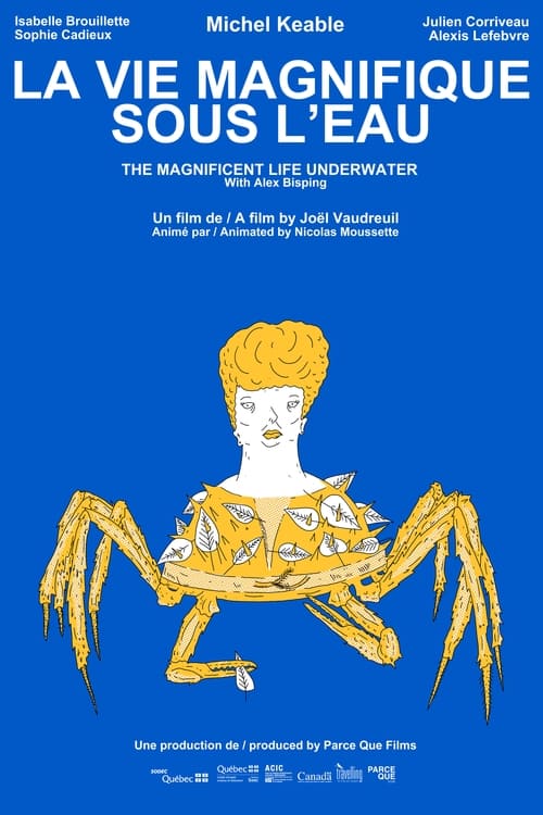 The magnificient life underwater