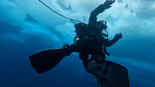 Los desafíos del Ártico