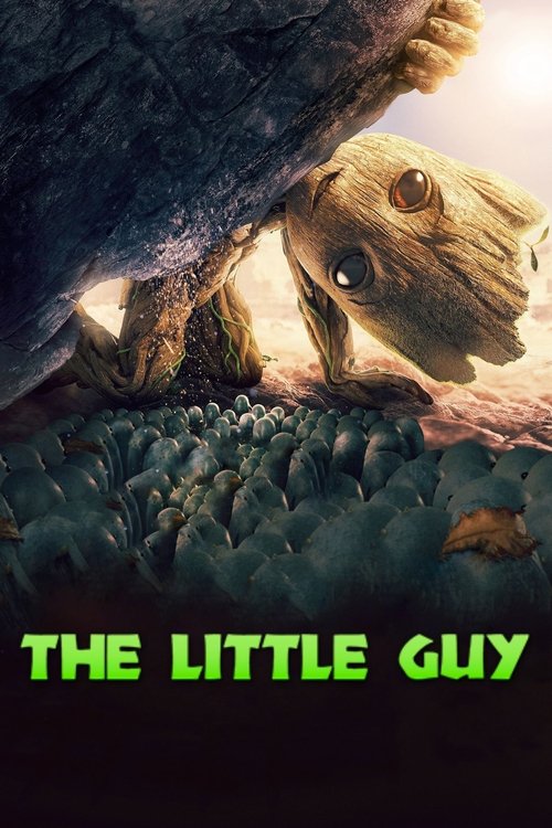 The Little Guy poster