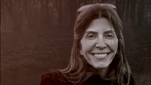 Vanished in New Canaan: An ID Mystery Backdrop Blur