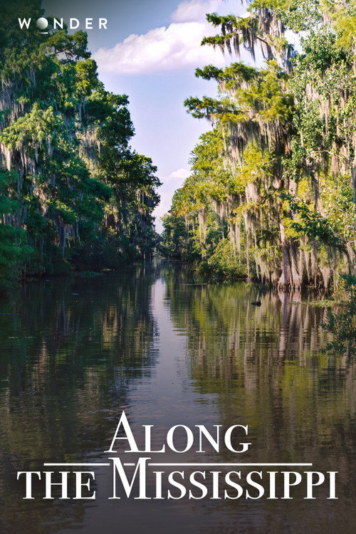 Along the Mississippi (2010) poster