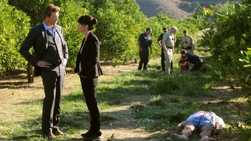 The Mentalist: 3×9