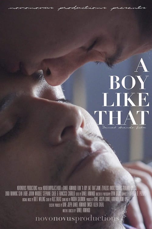 A Boy Like That poster