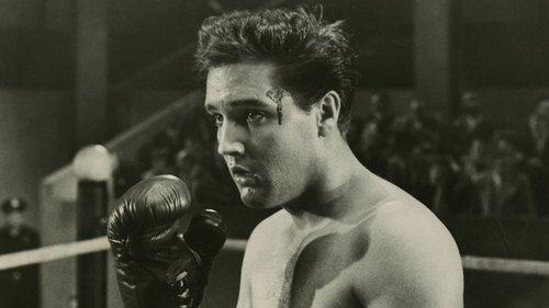 Kid Galahad (1962) download